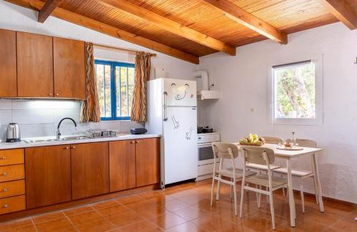 Gazi Apartment | Charming Loft with Lovely Yard