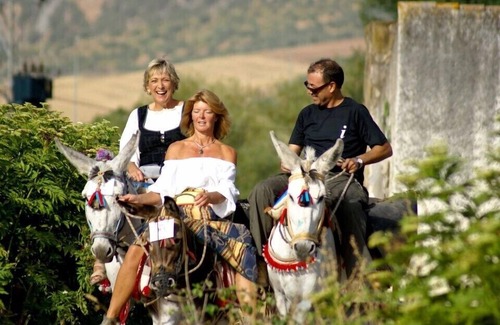Montejaque House | Charming mountain village house only 20 minutes from historic Ronda