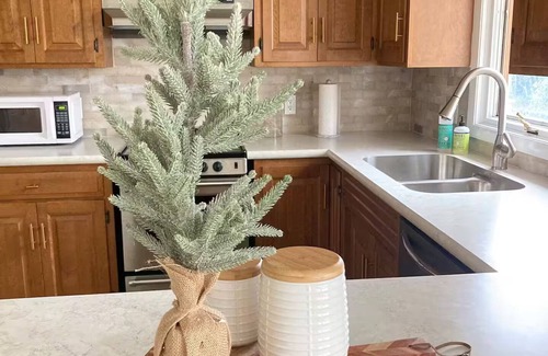 Walnut Creek House | Charming & quiet 2-bedroom house in Walnut Creek