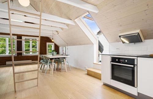 Stavanger Apartment | Charming Rooftop Apartment In Heart Of Stavanger