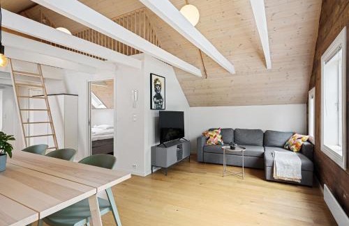 Stavanger Apartment | Charming Rooftop Apartment In Heart Of Stavanger