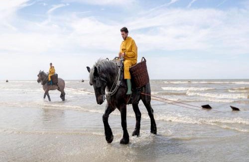 Koksijde Ski Chalet | Charming Stay by the Dunes