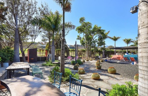 Telde Apartment | Charming Studio El Cortijo Golf 2