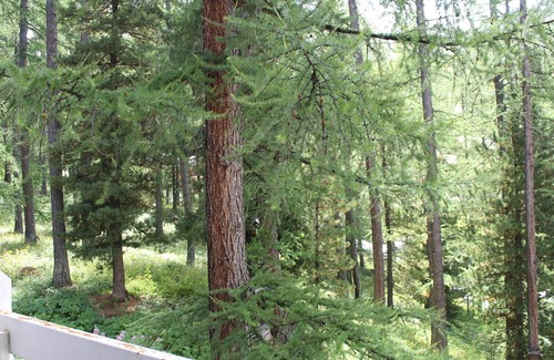 Les Claux Apartment | Charming Studio in Vars, 30m from Slopes, Sleeps 4