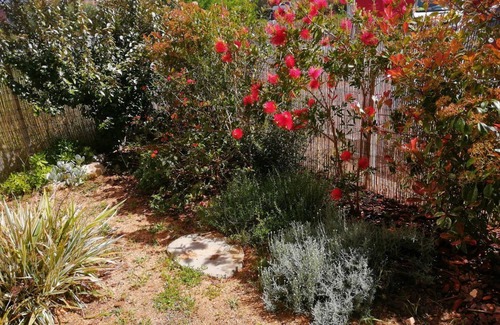 Ajaccio Apartment | Charming T2 with terrace and small garden