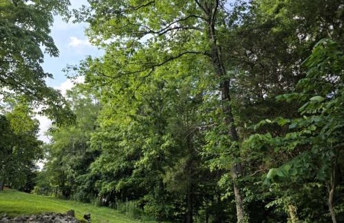 Baxter House | Charming Tiny Cottage in the Woods near Center Hill Lake for a Romantic Getaway near Baxter, Tennessee