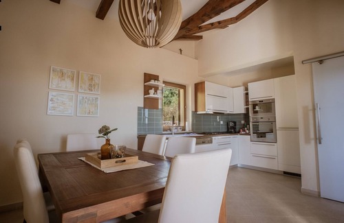 Drnis Villa | Charming villa with private pool