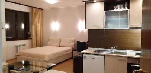 Borovets Apartment | Charming Winter Studio