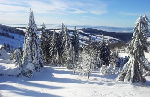 Cenkovice Ski Chalet | Chata Čenkovice