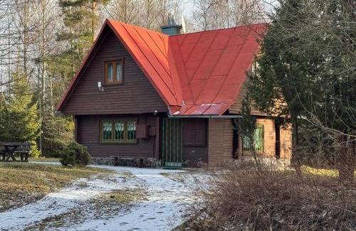 Tatranska Lomnica Ski Chalet | Chata ALPINA 1