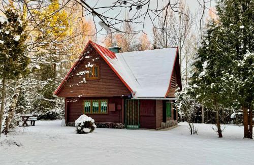 Tatranska Lomnica Ski Chalet | Chata ALPINA 1