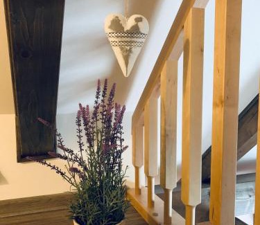Horni Mala Upa Apartment | Chata Barborka, apartmán 8