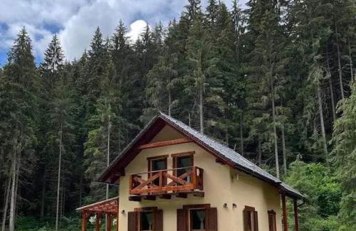 Lazisko Ski Chalet | Chata Mošnica