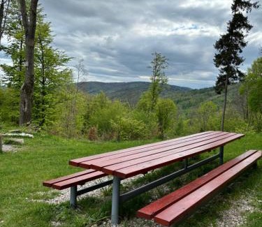 Ratkovske Bystre Ski Chalet | Chata Nemcová - Muránska planina