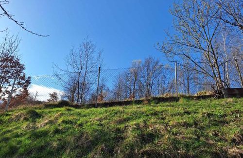 Nova Sedlica House | Chata u poľovníka