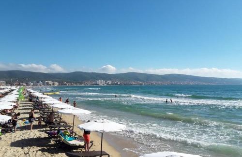 Chaika Apartment | CHATEAU DEL MAR C31a Studio Sunny Beach