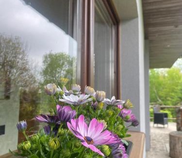 gmina Lubien House | Chatka Puchatka