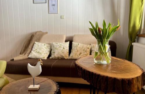 Lesko House | Chaty Lesko-Ski