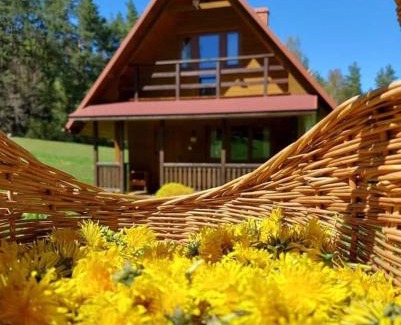 Lesko House | Chaty Lesko-Ski