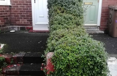 Manchester House | Cheerful Home with Free Parking on the Road
