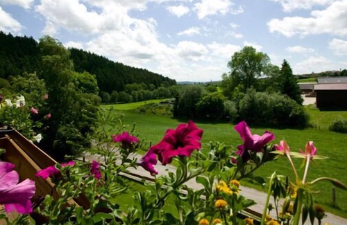 Medebach Apartment | Cherry blossom, 60 sqm, 2 bedrooms, balcony, max. 4 persons