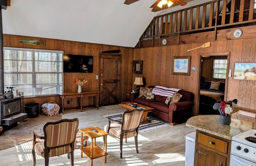 Rabun Gap Cabin | Chestnut Mountain Rustic Cabin Retreat - Dog Friendly!