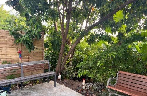 Bouillante Apartment | Chez Coco et Fredo