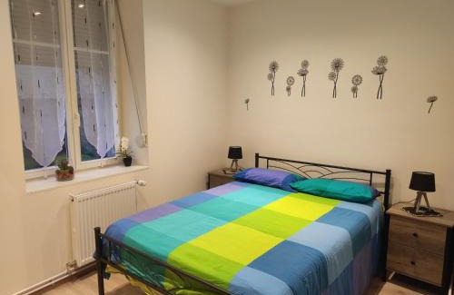 Bischheim House | Chez Dori Chambre privée