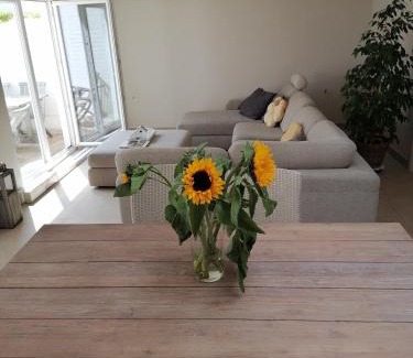 Avelgem House | Chez Paulette