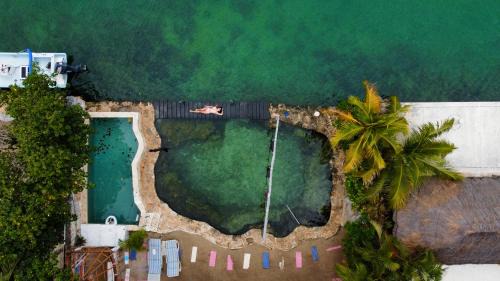 Puerto Aventuras Hotel | Chez Waffle Hotel