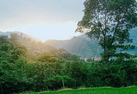 Sa Pa House | Chi homestay and bungalow