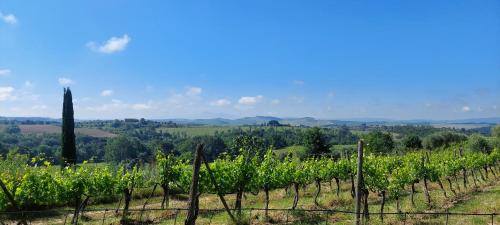 Castelnuovo Berardenga Apartment | CHIANTI - Lovely Cottage with Parking & Garden!