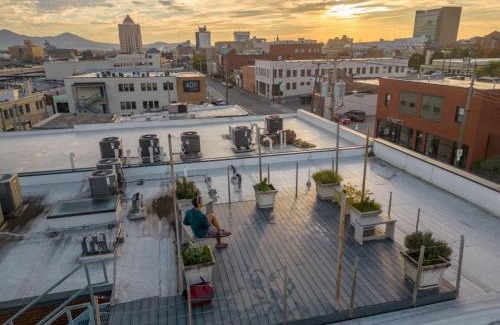 Roanoke Apartment | Chic walkable apt with rooftop views