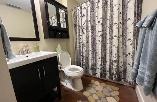 Roanoke Apartment | Chic walkable apt with rooftop views