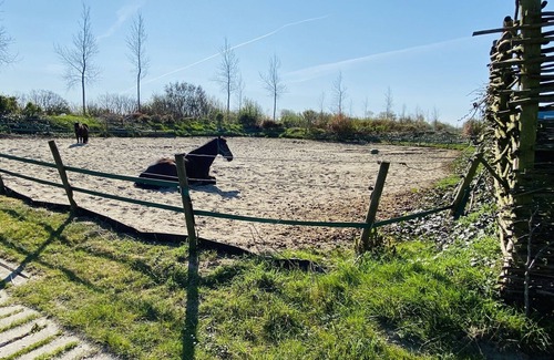 Meliskerke House | Child friendly 4-person mobile home on a farm campsite near Zoutelande
