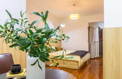 Jeifangbei Central Business District Apartment | Chongqing Yuzhong·JieFangbei· Locals Apartment 00132880