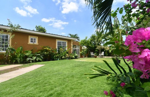 Molynes Gardens Apartment | Choose To Be happy at Gardens of Blissett # 3 - Studio Apartment