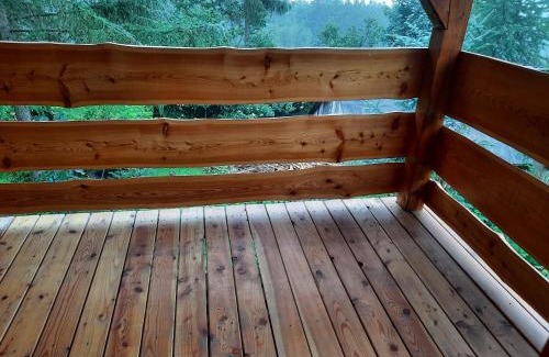 Jelesnia Ski Chalet | Cicha przystań na Madejach