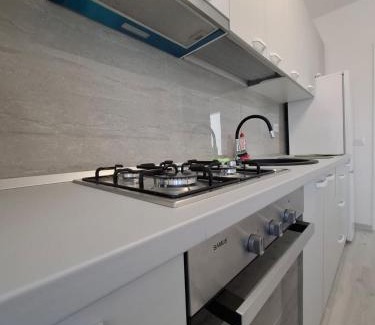 Miroslava Apartment | Cicoarei Apartment