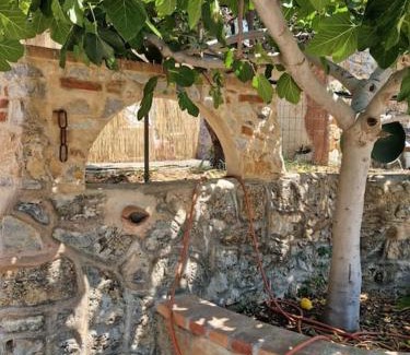 Marina Di Camerota Apartment | Cisterna - Loft con giardino