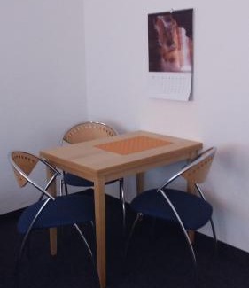 Friedrichstadt Apartment | City-Apartment Adlergasse Dresden