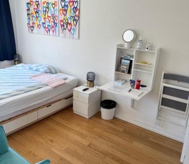 Basel City Centre Apartment | City Center Rooftop Studio with Oldtown View