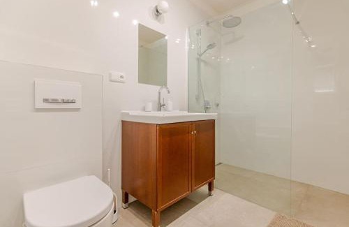 Nove Mesto Apartment | City Center Wenceslas Square Old Town Apartment