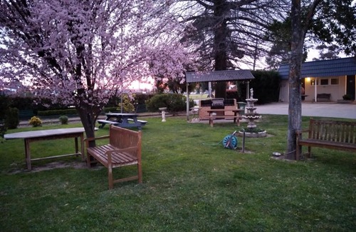 Wagga Wagga Hotel | City Park Motel and Apartments
