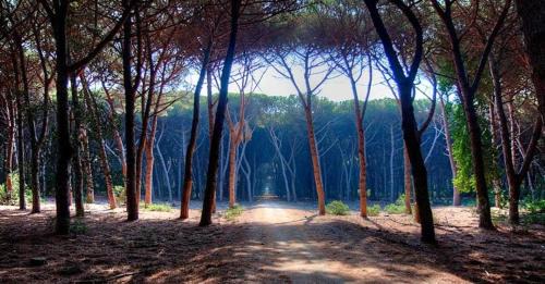 Porto Ercole Apartment | ClaMar Apart Hotel