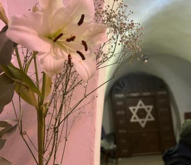 Safed Old City Bed & Breakfast | Classic Tzfat Tzimmer above HaAri and views of Meron