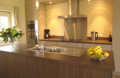 Zuidzande House | Classy Holiday Home in Zuidzande with Sauna