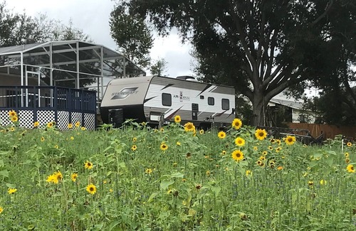 Clermont House | Clean and cozy 1 bedroom mobile house with pool on the farm