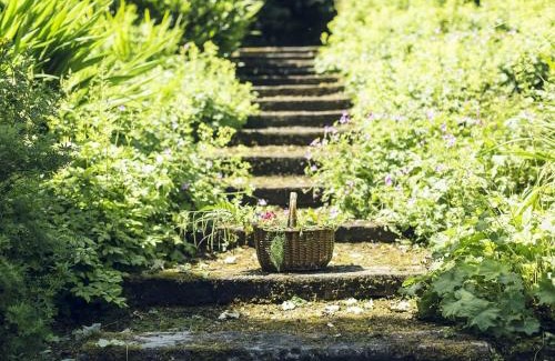 Castlerea House | Clonalis House - Guesthouse