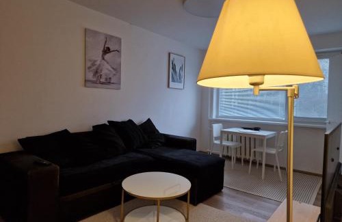Kaunas Apartment | Close to Park